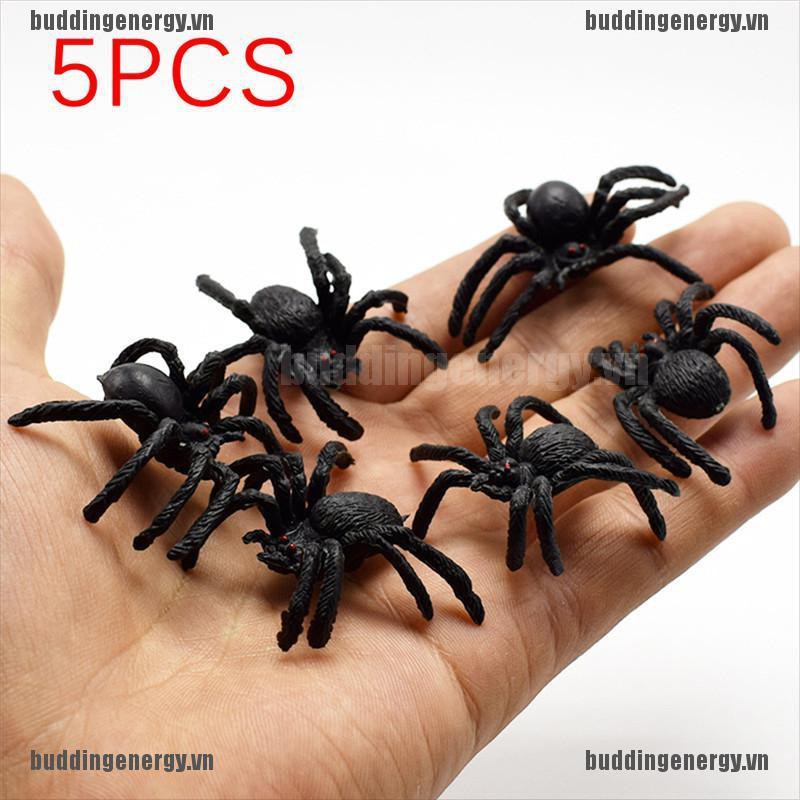 Bộ 5 Con Nhện Nhựa Màu Đen Trang Trí Halloween