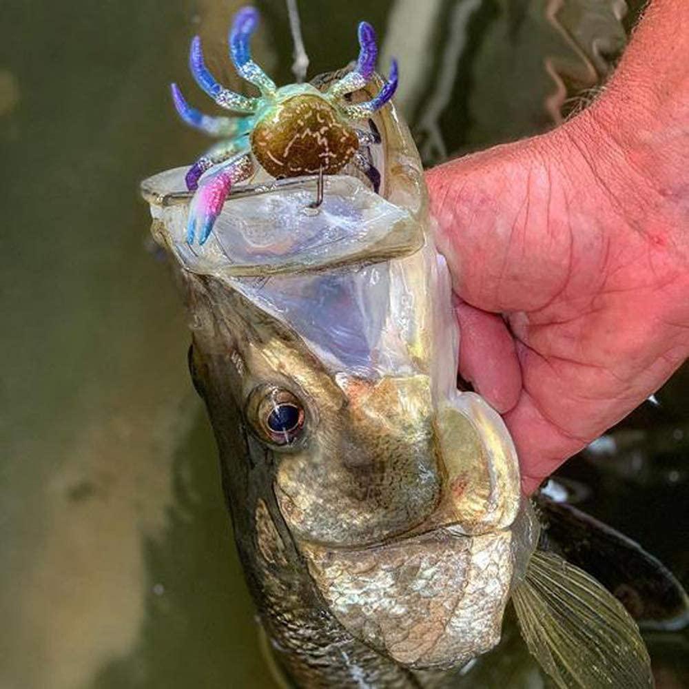 Mồi Câu Cá Giả Hình Con Cua 3D Mềm