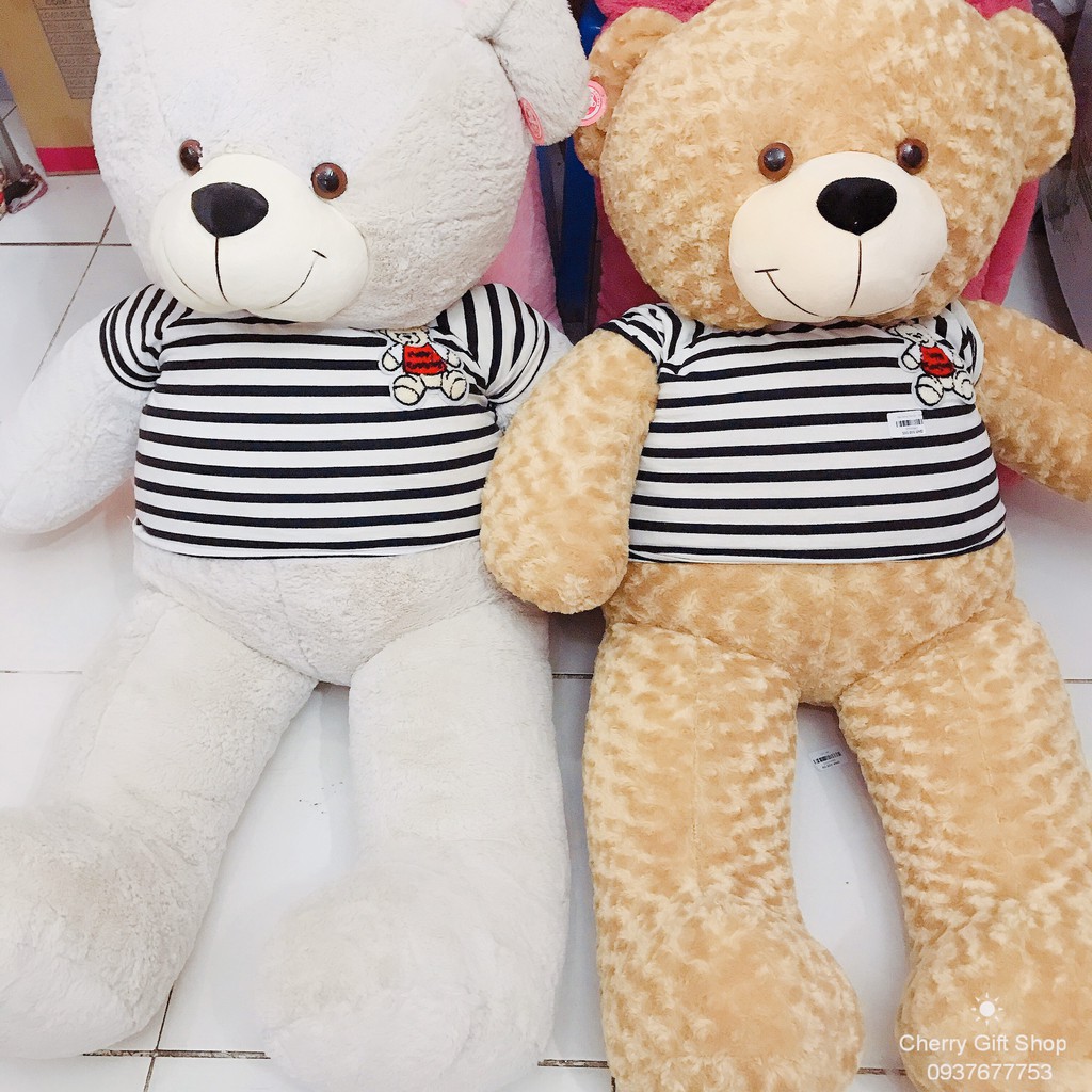 Gấu Bông Teddy Cao Cấp Giá Sốc 1m5 Ảnh Shop Chụp