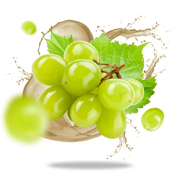 Nước đường nho hữu cơ Sotto 250ml Organic Grape Sugar