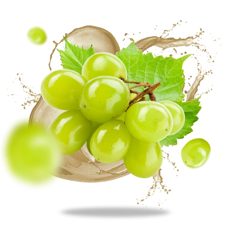 HSD T11/2023 Nước đường nho hữu cơ Sotto 250ml Organic Grape Sugar