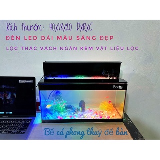 FULL COMBO Bể cá cảnh mini 40cm lọc thác tràn kèm đèn led (hồ cá, lọc vách, đèn led, sỏi màu, cây, thức ăn cá)