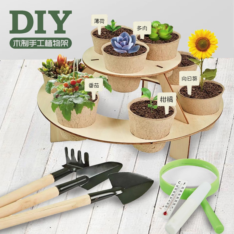 Bộ trồng cây - đồ chơi tư duy giúp bé phát triển toàn diện Bi house