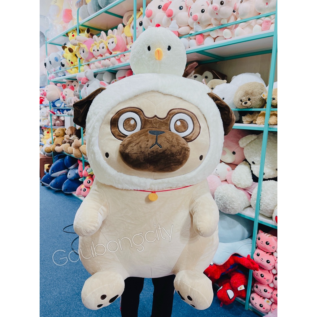 Gấu Bông Mèo - Chó nô Tài Cosplay Mũ Vịt Cao Cấp Gấu Bông City - Thú Nhồi Bông