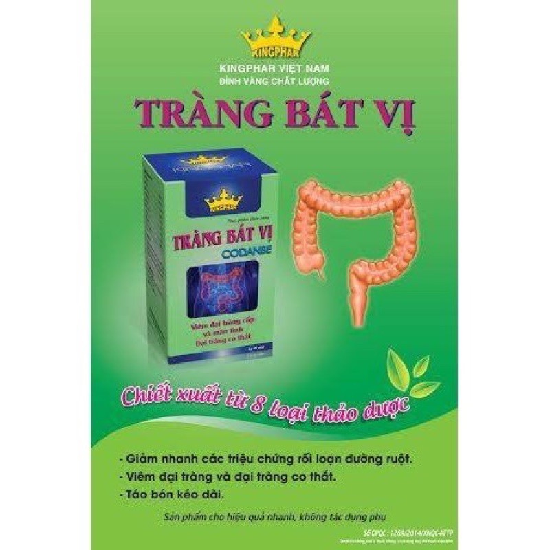 TRÀNG BÁT VỊ KINGPHAR_Tiêu Chảy_Táo bón _Viêm đại tràng cấp và mãn tính _Co Thắt đại tràng