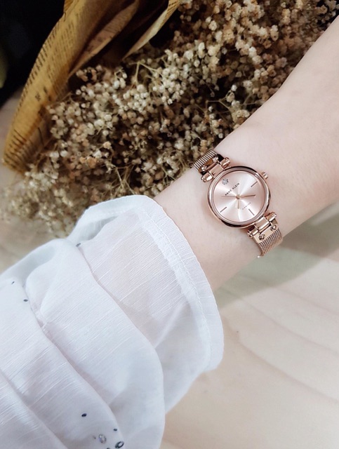 Đồng hồ nữ Anne Klein AK/3002RGRG dây mesh kim loại nữ tính | BigBuy360 - bigbuy360.vn