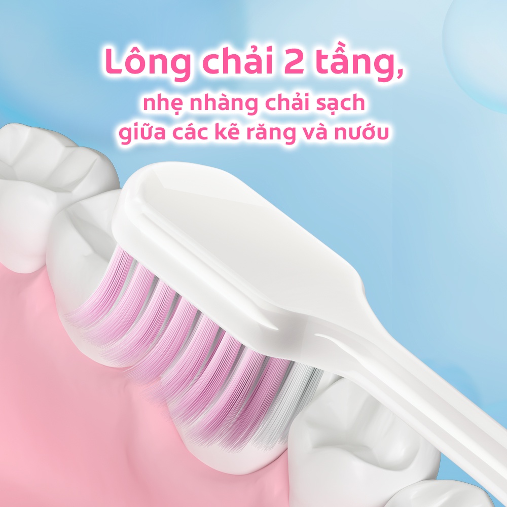 Bộ 2 Bàn chải đánh răng Gentle Comfort Clean