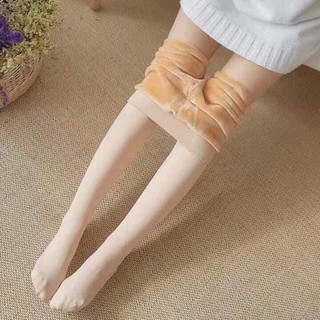 Quần tất lót lông liền bàn