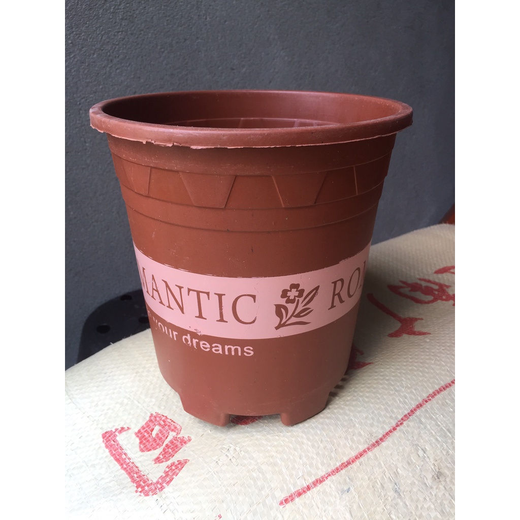 5 CHẬU NHỰA ROMANTIC #1 (BẦU KHAY TÚI ƯƠM, KEO LIỀN SẸO CÂY, KÍCH RỄ MẦM CÂY...)