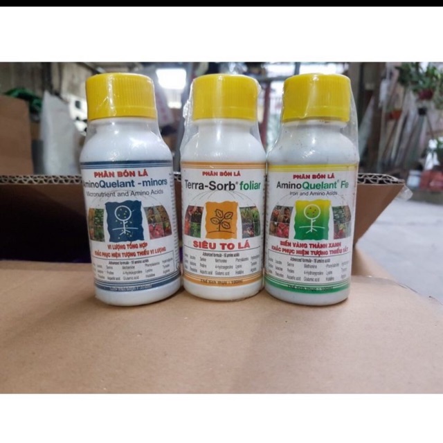 GiBộ ba phân bón lá Amino Quelant-minors + Terra-Sorb foliar + Amino Quelant-Fe cho cây cảnh