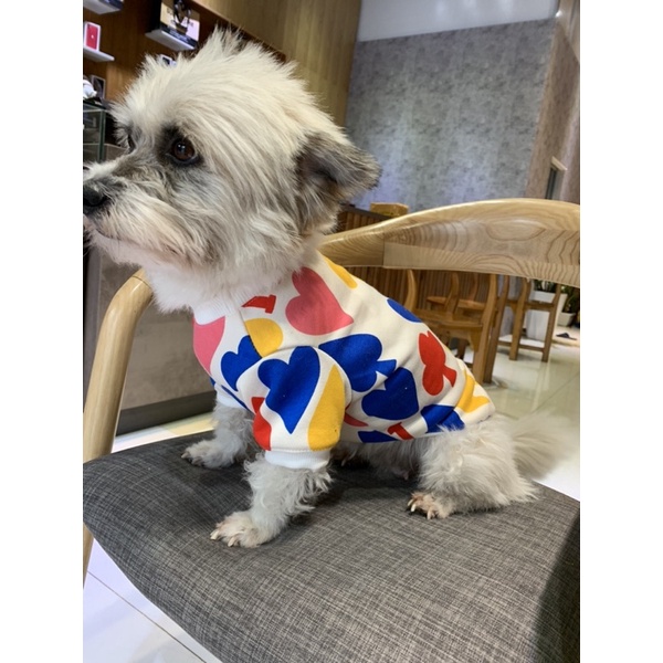 Áo có tay cho chó mèo