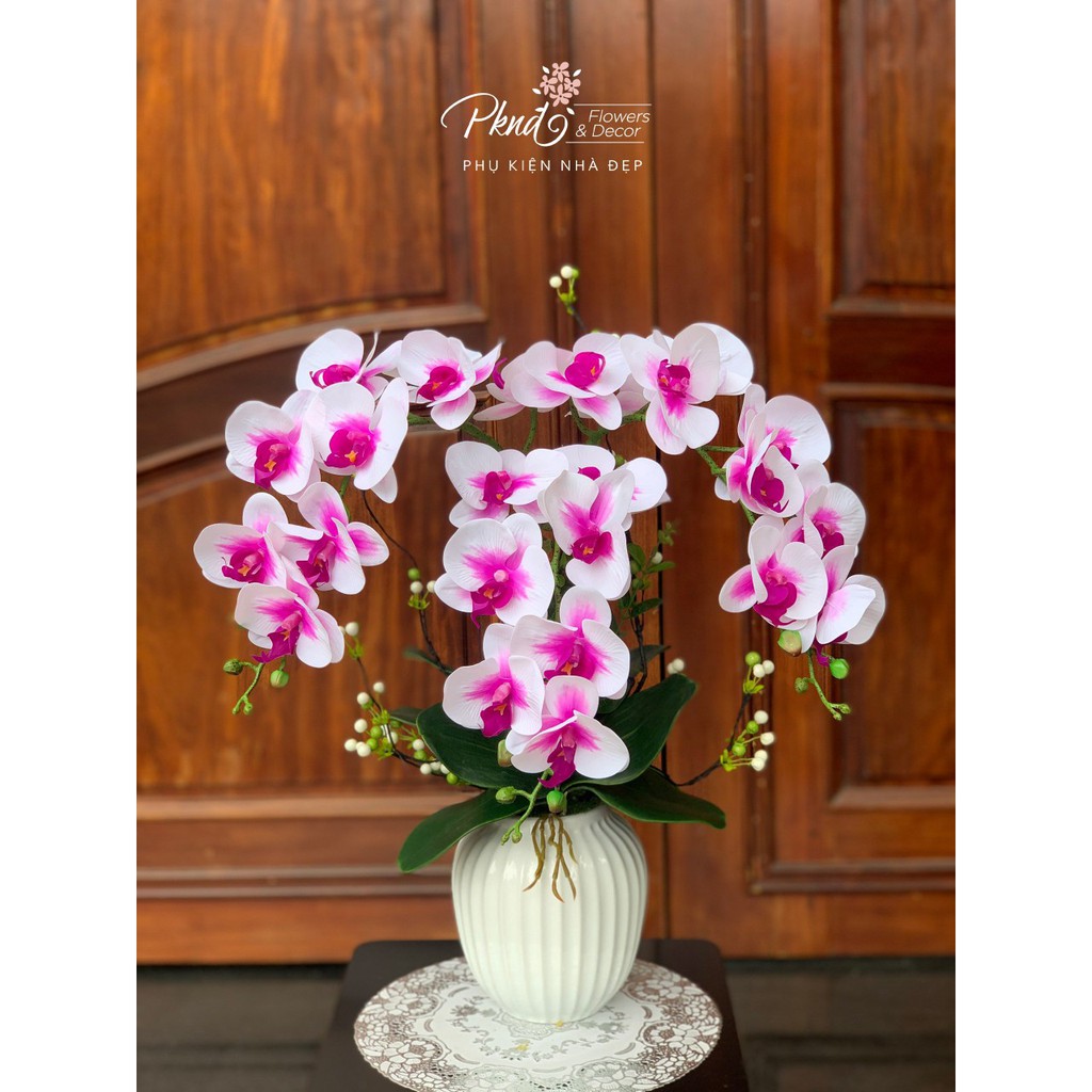 Chậu Lan Cao Su 3 Cành kết hợp hoa tiểu cảnh sang trọng - Nhiều màu sắc PKND FLOWERS &amp; DECOR CH98