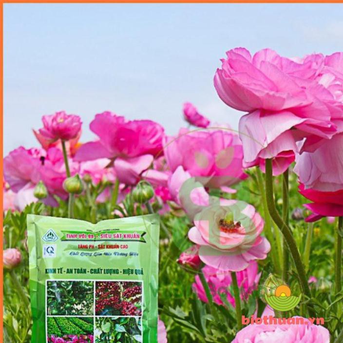 Tinh Vôi Khử Trùng Đất Và Xử Lý Đất - tinh vôi 98 siêu sát trùng