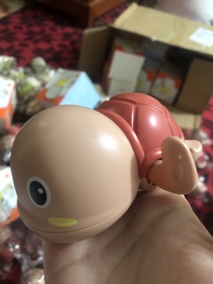 Combo full- 3 rùa + 2 trứng Tiktok