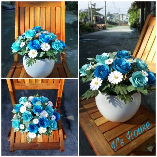 Set làm chậu hoa hồng lốc xoáy