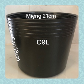 chậu nhựa đen trồng cây C9L loại dày dặn