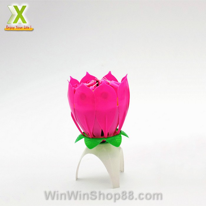Nến sinh nhật nở hoa và phát nhạc - Winz.vn