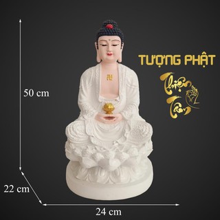 Tượng A Di Đà Phật cao 50cm – Ngồi – Màu Trắng (Mẫu Đài Loan) 029TN-PDD  - Tuong A Di Da Phat