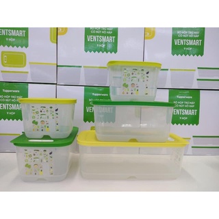 Bộ trữ mát Ventsmart 5 hộp