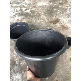 Chậu trồng kiểng lá