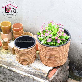 Litishop - Chậu trồng cây lục bình đẹp