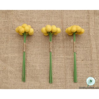 1GR 1000.HẠT Hạt Giống Hoa Cúc Nút Áo Vàng (| -KD: B26*V11)