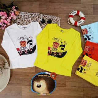 Combo áo phông cotton bt. bg