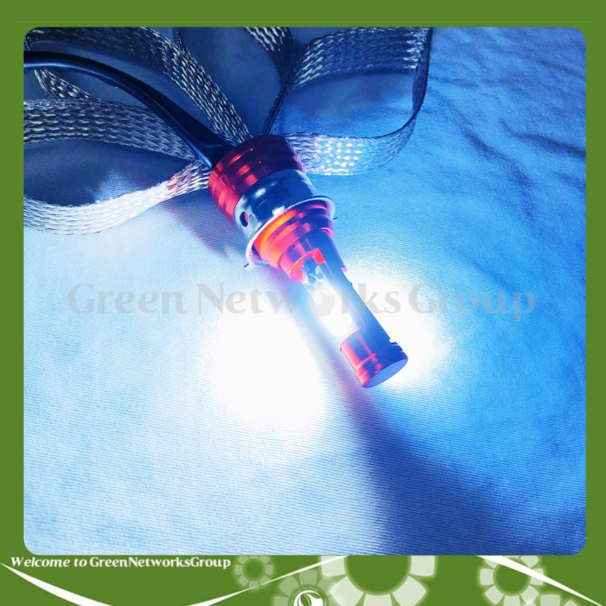 Đèn Led râu tản nhiệt chân H4 2 tim 20W Greennetworks