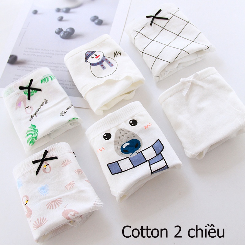 [Che tên] Combo hộp quần lót cotton nữ trẻ trung, phong cách QL007