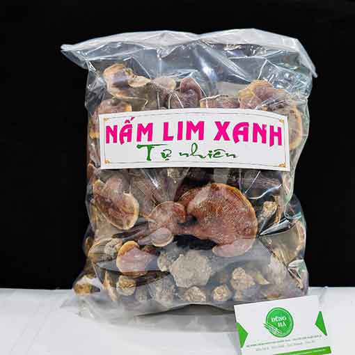 Nấm lim xanh