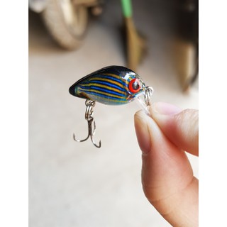Bộ mồi câu lure đầy đủ