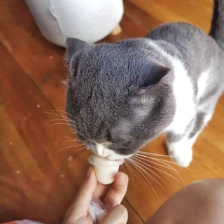 Pudding Sữa Dê Cho Mèo - Túi 15 Viên