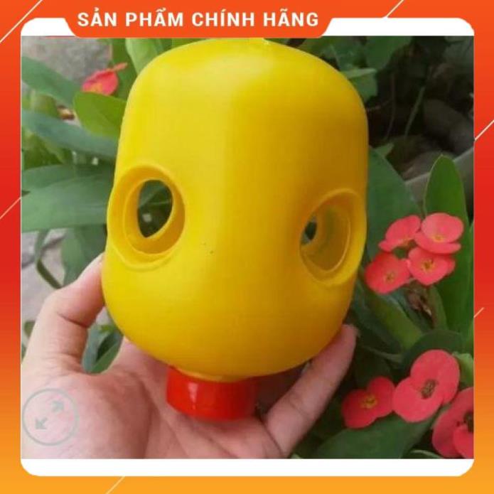 Đèn vàng bẫy ruồi đục trái