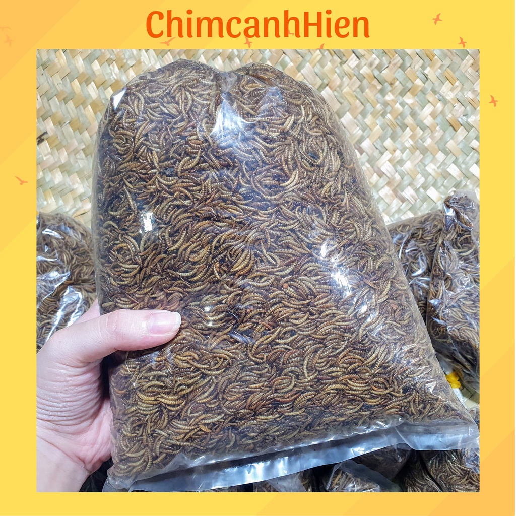 Sâu khô giàu đạm cho hamster, chim cảnh