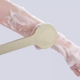 CỌ LƯNG MUJI NHẬT