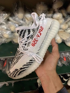(FAMILY-ẢNH THẬT) YEEZY ZEBRA
