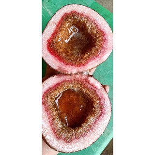 Cây Vả Mật