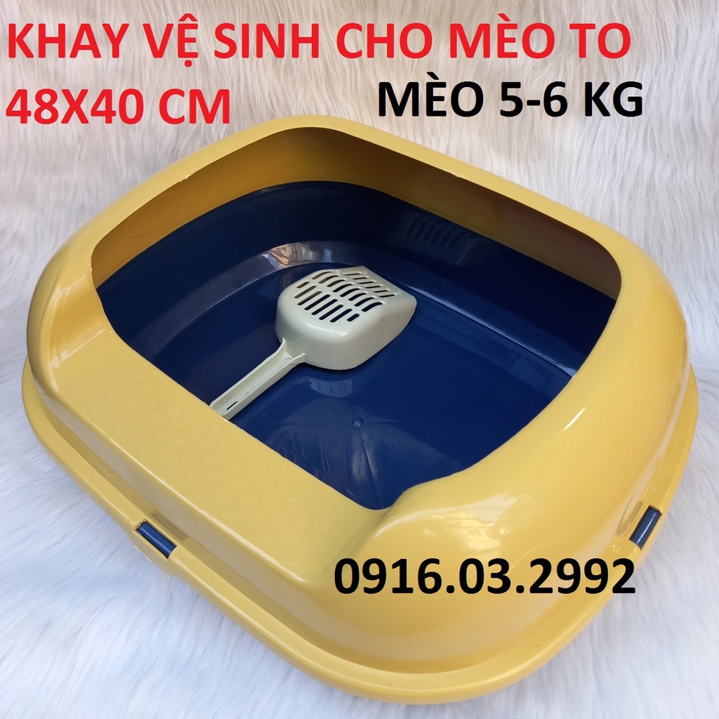 Khay vệ sinh cho mèo to tặng xẻng 46x40 cm