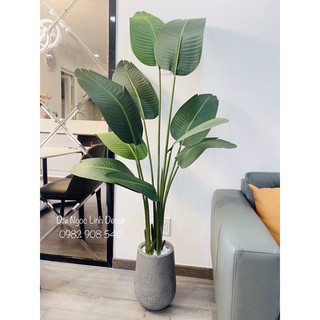 cây chuối giả 1,6m