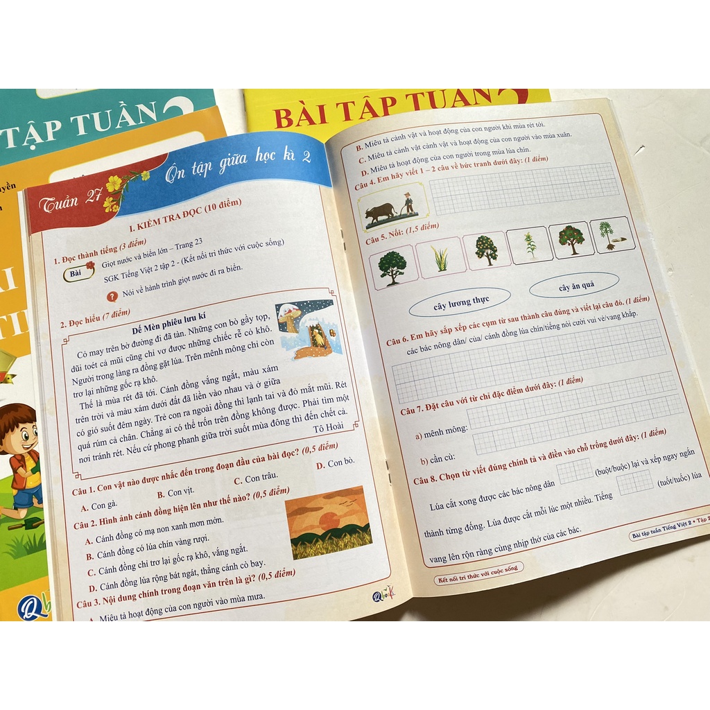 Sách - Combo 4 Cuốn Bài Tập Tuần Toán Tiếng Việt Lớp 2 - Kết Nối Tri Thức Với Cuộc Sống