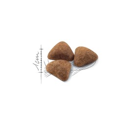 Royal Canin Indoor 27 - thức ăn khô cho mèo nuôi trong nhà