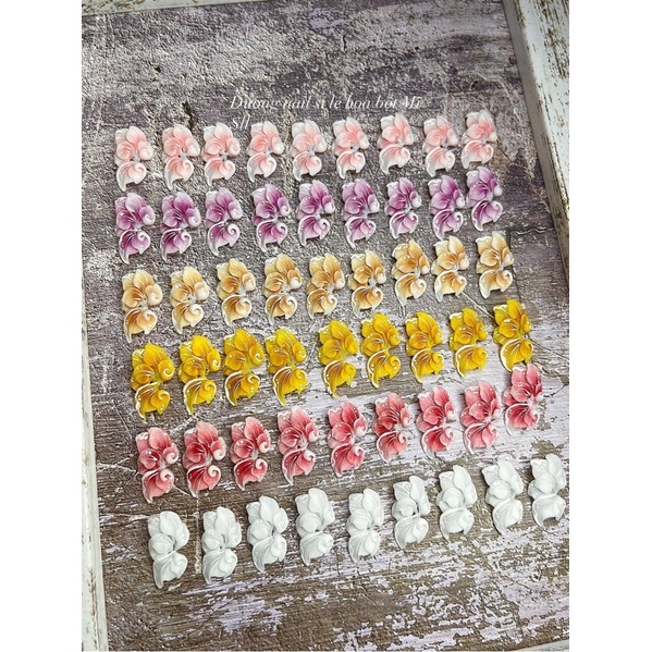 Hoa bột ẩn(giá 1 bông)