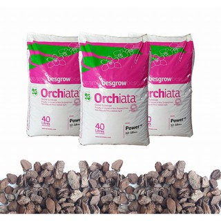 Vỏ thông Orchiata New Zealand nhiều size- 1kg