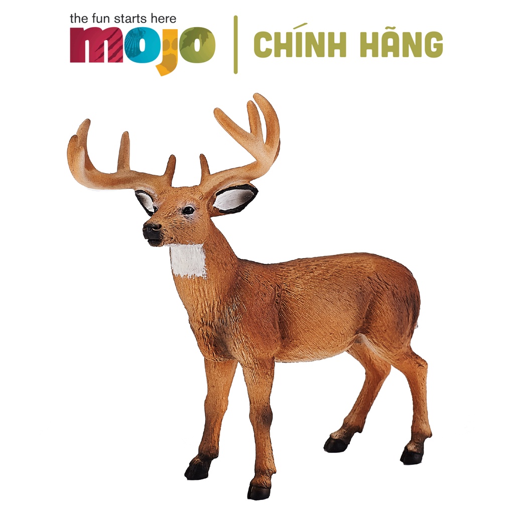 MÔ HÌNH ĐỘNG VẬT - HƯƠU ĐỰC