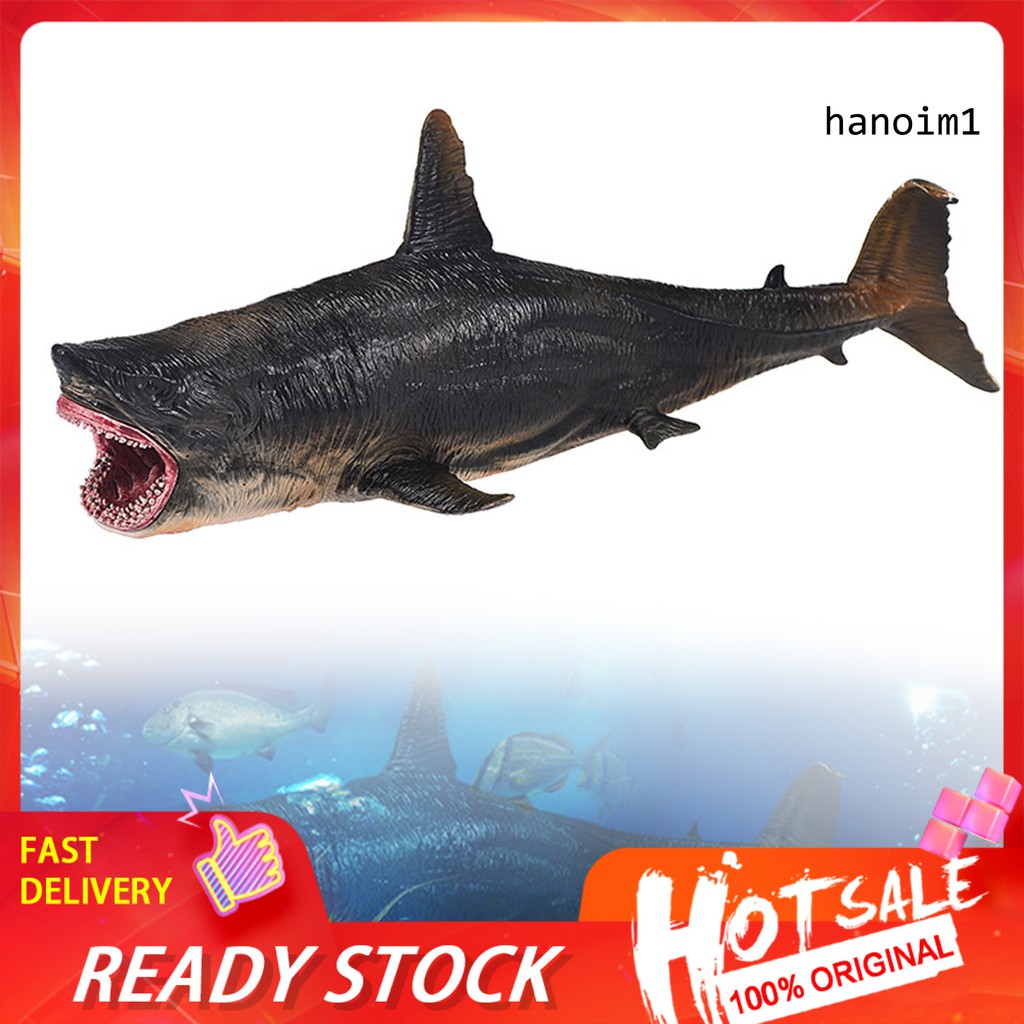 Mô Hình Megalodon Trang Trí Nhà Cửa