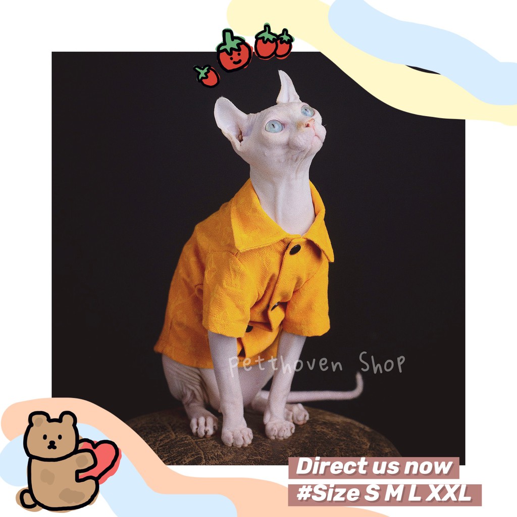 [Hình ảnh thât] Denim LV chuẩn form cho mèo - Tặng kèm kính mắt thời trang cho Boss- Áo cho mèo