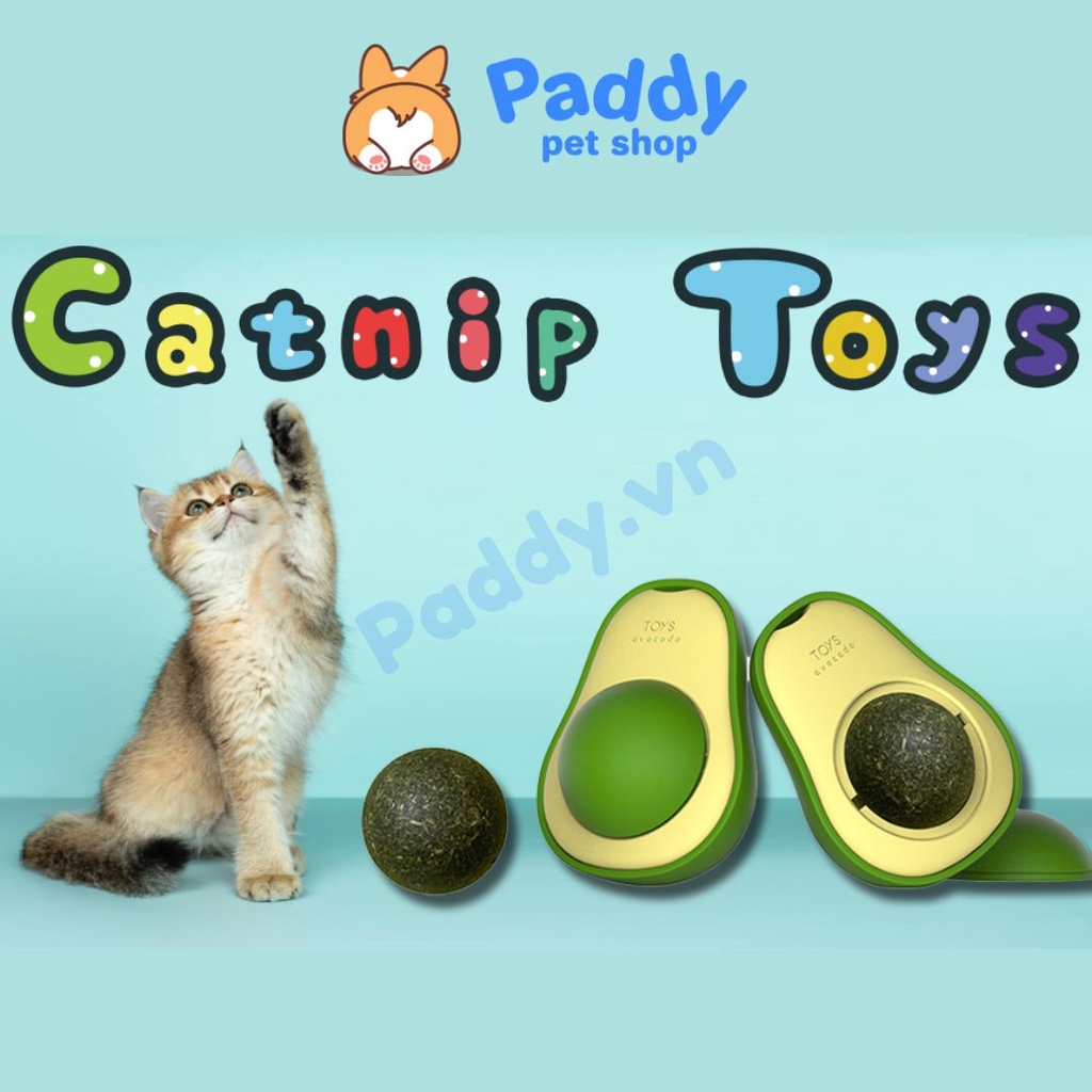 Cỏ Mèo Gắn Tường Xoay Đồ Chơi Cho Mèo