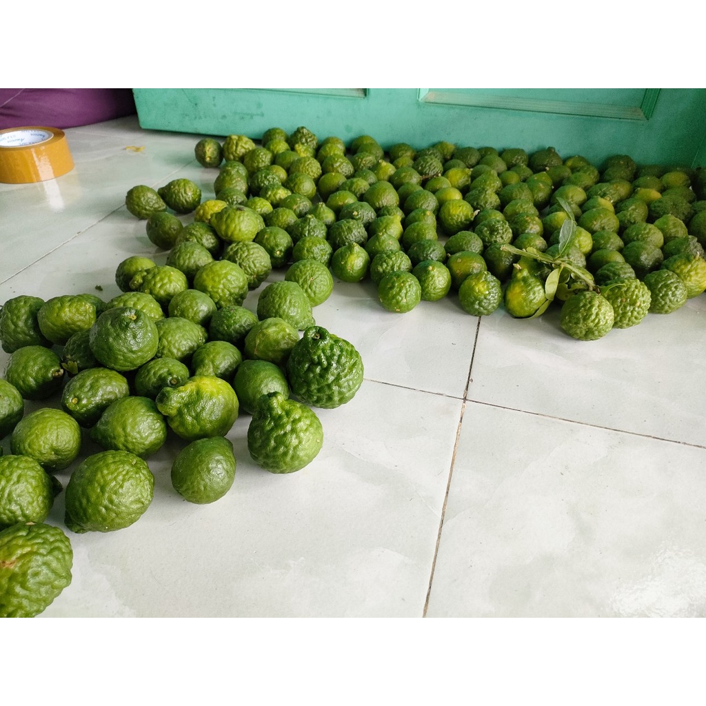 Trái chúc 0,5kg giá 50k. Trái chanh thái. Trái chanh não người