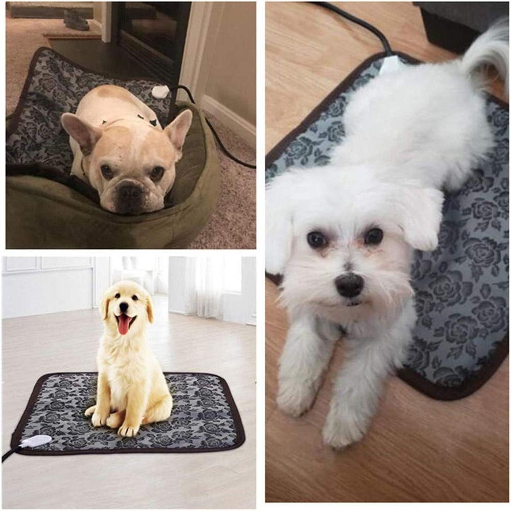 WATTLE Tấm SưởI ẤM 3 Chế Độ 45cm * 45cm Cho Thú Cưng