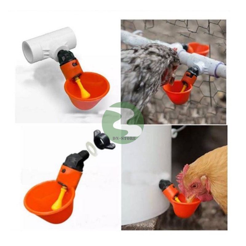 Máng uống nước tự động cho gà Dương ninh cho chim bồ câu MU44